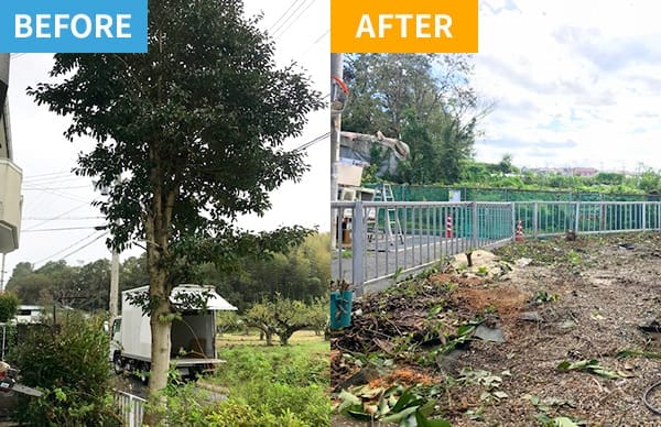 before after